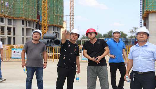 博鱼(中国)董事会巡检圆满完成